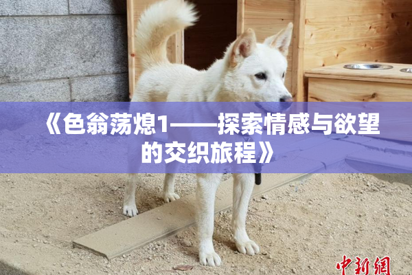 《色翁荡熄1——探索情感与欲望的交织旅程》