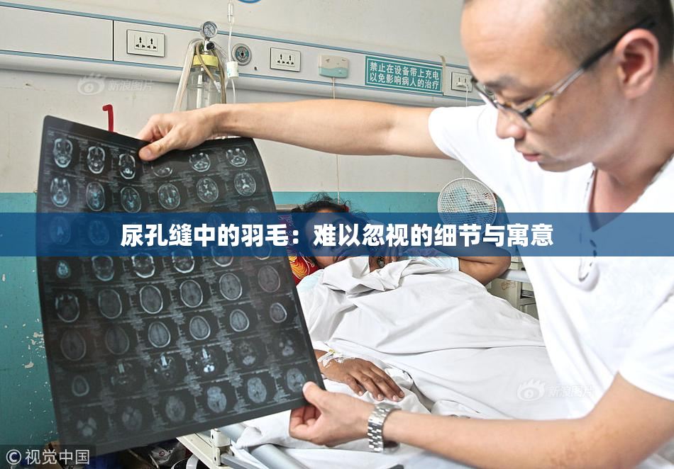 尿孔缝中的羽毛：难以忽视的细节与寓意