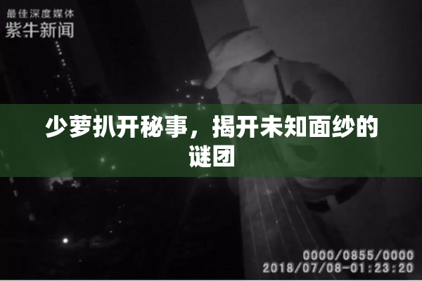 少萝扒开秘事，揭开未知面纱的谜团