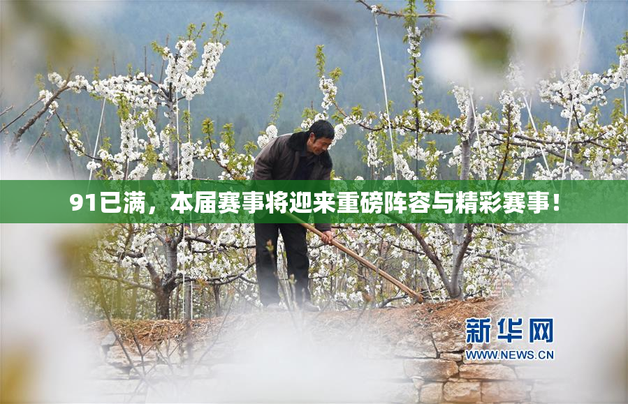 91已满，本届赛事将迎来重磅阵容与精彩赛事！