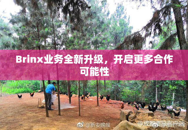 Brinx业务全新升级，开启更多合作可能性