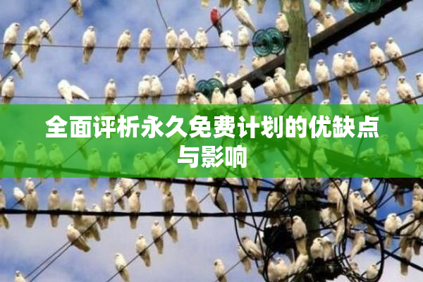 全面评析永久免费计划的优缺点与影响