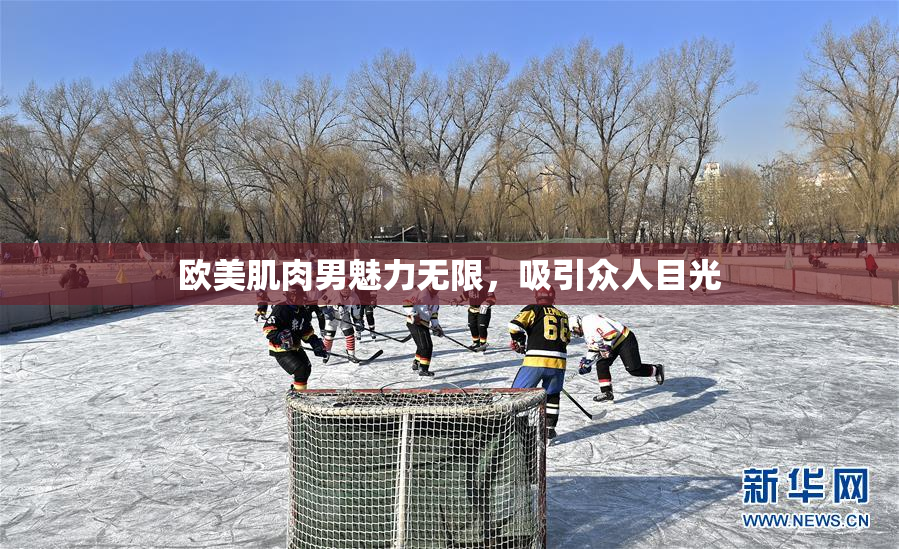 欧美肌肉男魅力无限，吸引众人目光