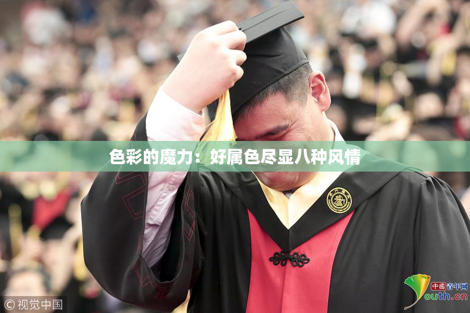 色彩的魔力：好属色尽显八种风情