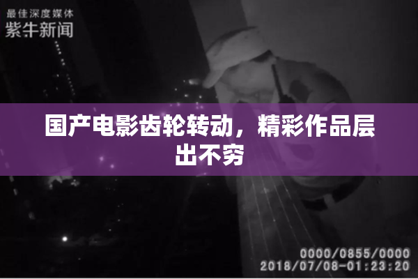 国产电影齿轮转动，精彩作品层出不穷