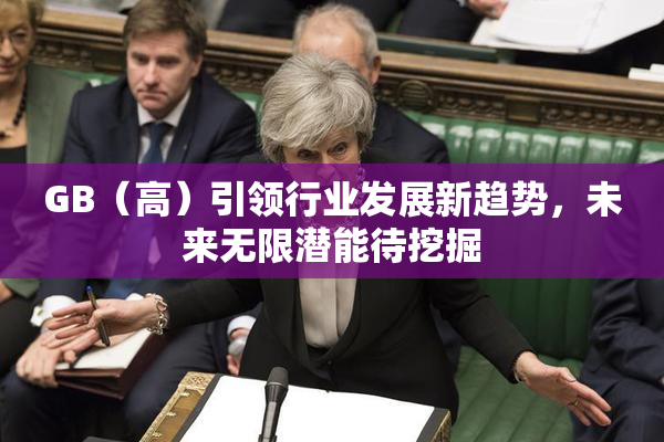 GB（高）引领行业发展新趋势，未来无限潜能待挖掘