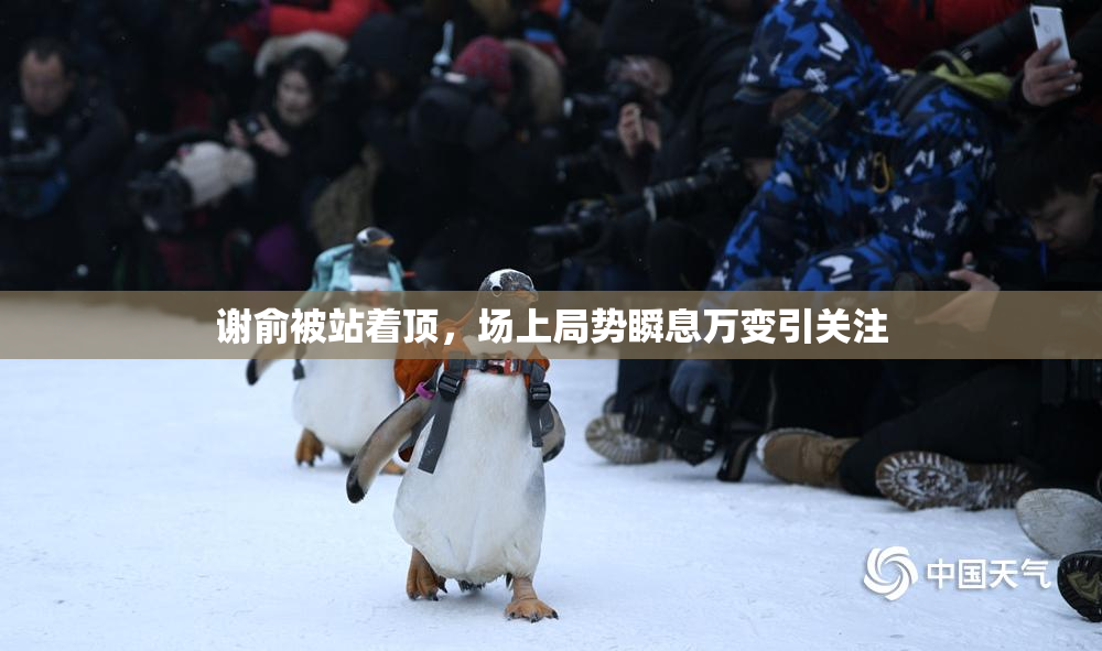 谢俞被站着顶，场上局势瞬息万变引关注