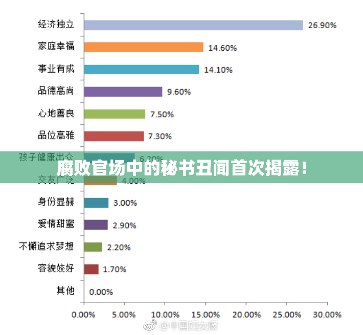 腐败官场中的秘书丑闻首次揭露！