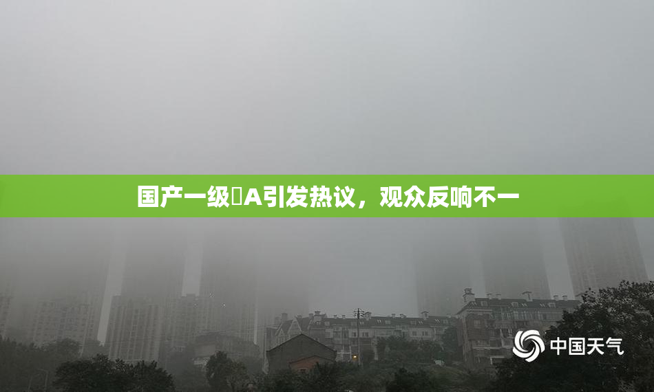 国产一级婬A引发热议，观众反响不一