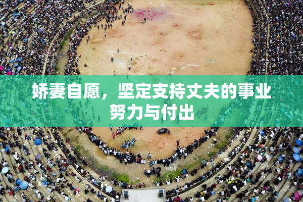 娇妻自愿，坚定支持丈夫的事业努力与付出