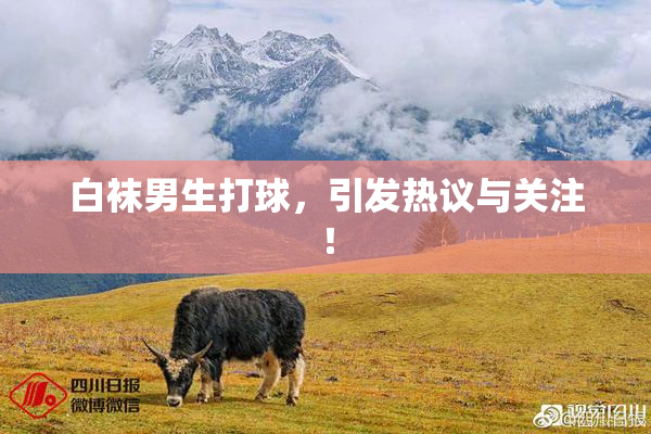 白袜男生打球，引发热议与关注！