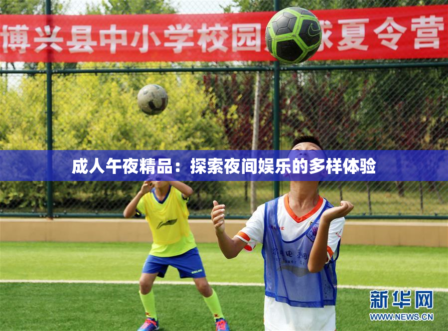 成人午夜精品：探索夜间娱乐的多样体验