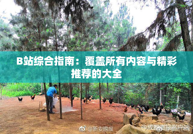 B站综合指南：覆盖所有内容与精彩推荐的大全