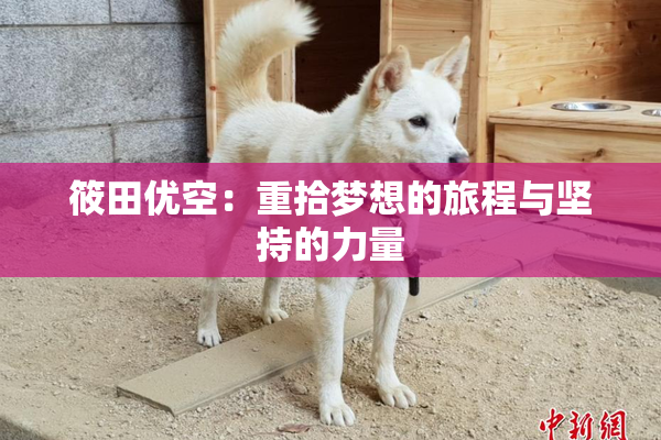 筱田优空：重拾梦想的旅程与坚持的力量