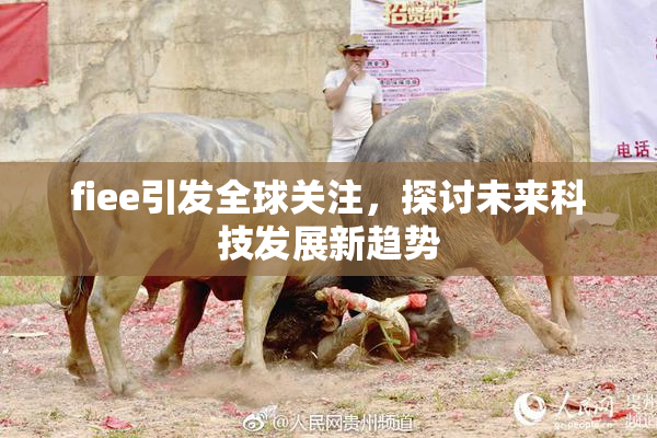 fiee引发全球关注，探讨未来科技发展新趋势