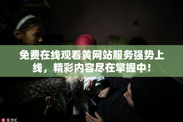 免费在线观看黄网站服务强势上线，精彩内容尽在掌握中！