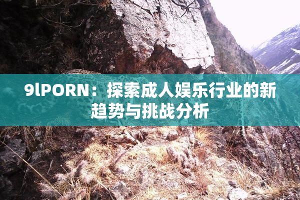 9lPORN：探索成人娱乐行业的新趋势与挑战分析