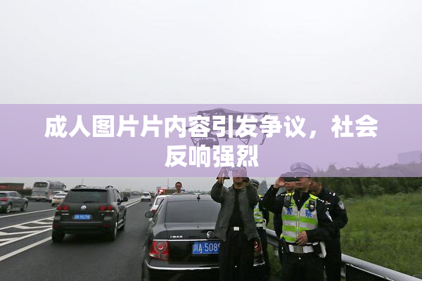 成人图片片内容引发争议，社会反响强烈