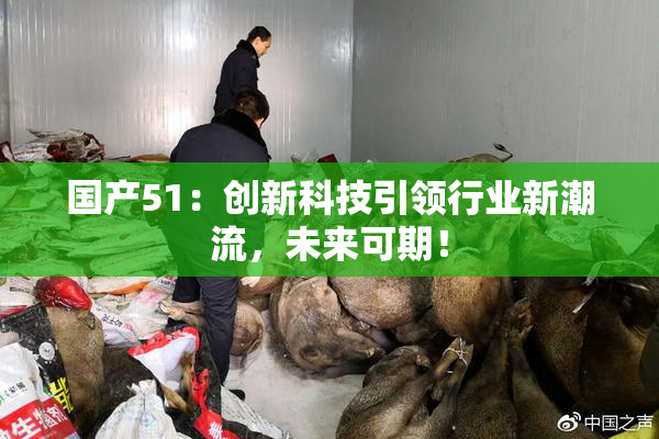国产51：创新科技引领行业新潮流，未来可期！