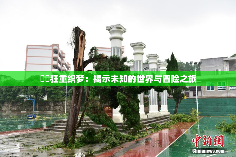 ❌‌狂重织梦：揭示未知的世界与冒险之旅