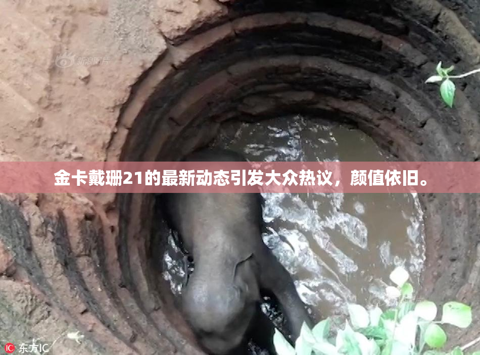 金卡戴珊21的最新动态引发大众热议，颜值依旧。