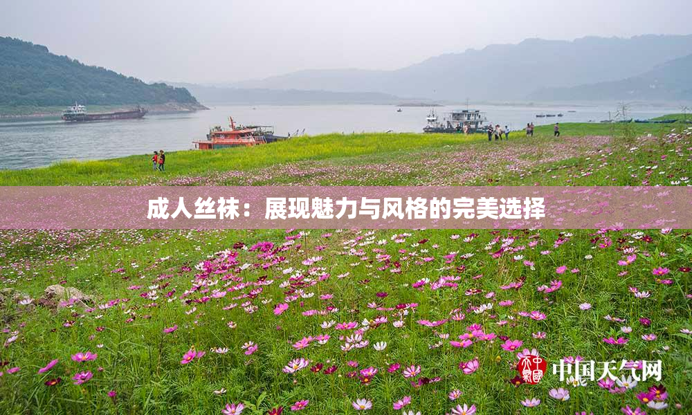 成人丝袜：展现魅力与风格的完美选择