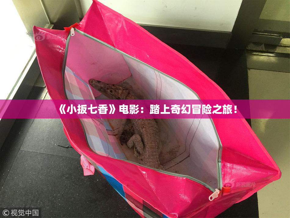 《小扳七香》电影：踏上奇幻冒险之旅！
