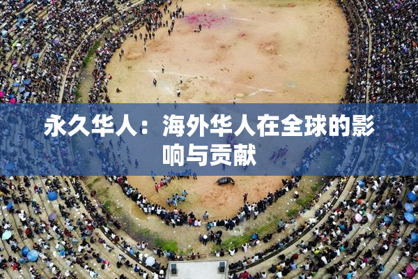 永久华人：海外华人在全球的影响与贡献