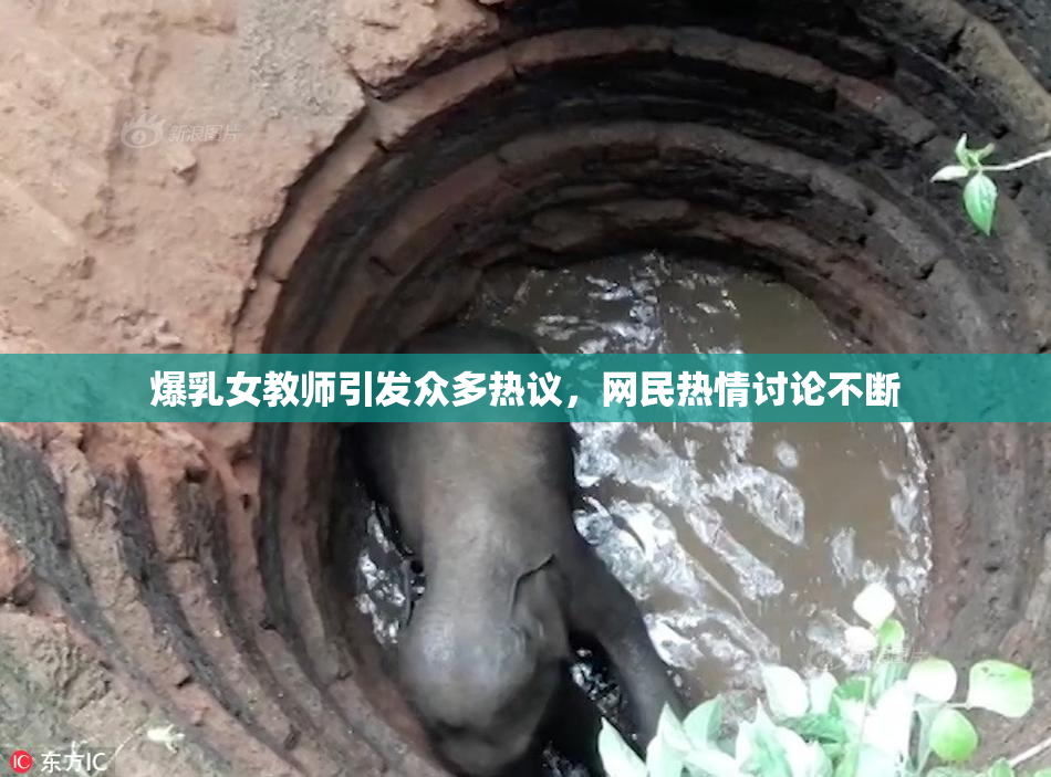 爆乳女教师引发众多热议，网民热情讨论不断