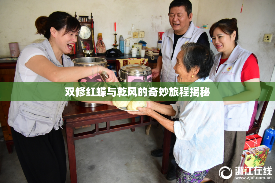 双修红蝶与乾风的奇妙旅程揭秘