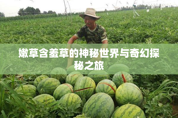 嫩草含羞草的神秘世界与奇幻探秘之旅