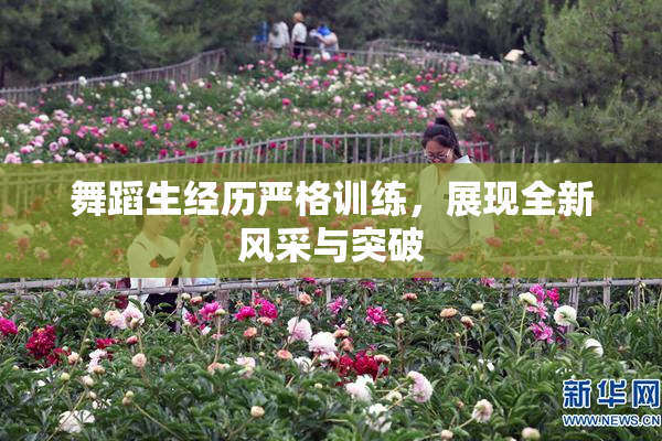 舞蹈生经历严格训练，展现全新风采与突破