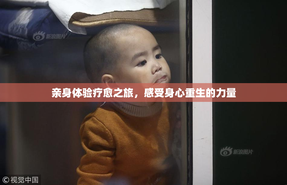 亲身体验疗愈之旅，感受身心重生的力量