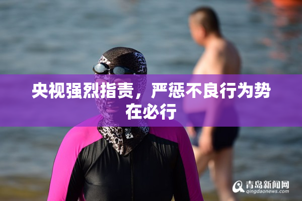 央视强烈指责，严惩不良行为势在必行