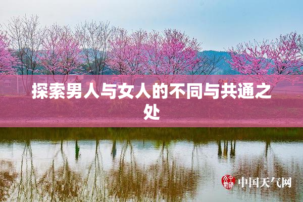 探索男人与女人的不同与共通之处