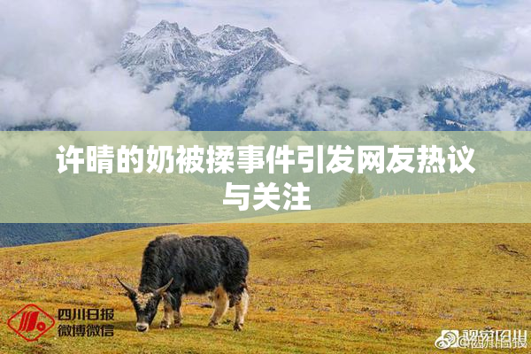 许晴的奶被揉事件引发网友热议与关注