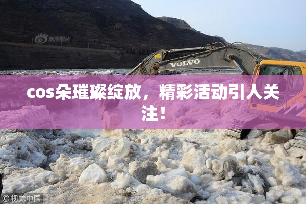 cos朵璀璨绽放，精彩活动引人关注！