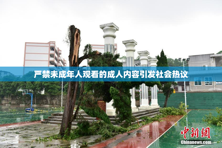 严禁未成年人观看的成人内容引发社会热议