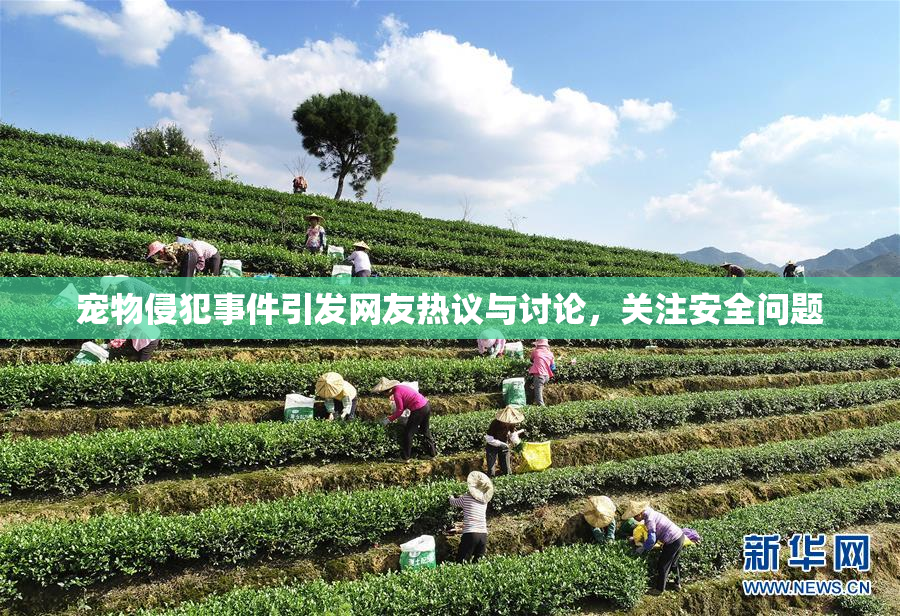 宠物侵犯事件引发网友热议与讨论，关注安全问题