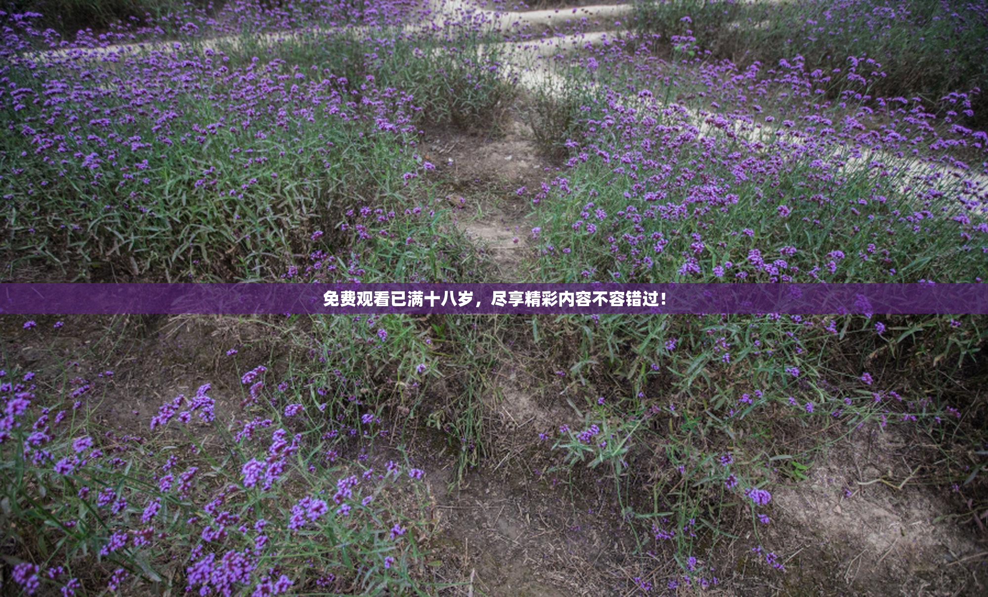 免费观看已满十八岁，尽享精彩内容不容错过！