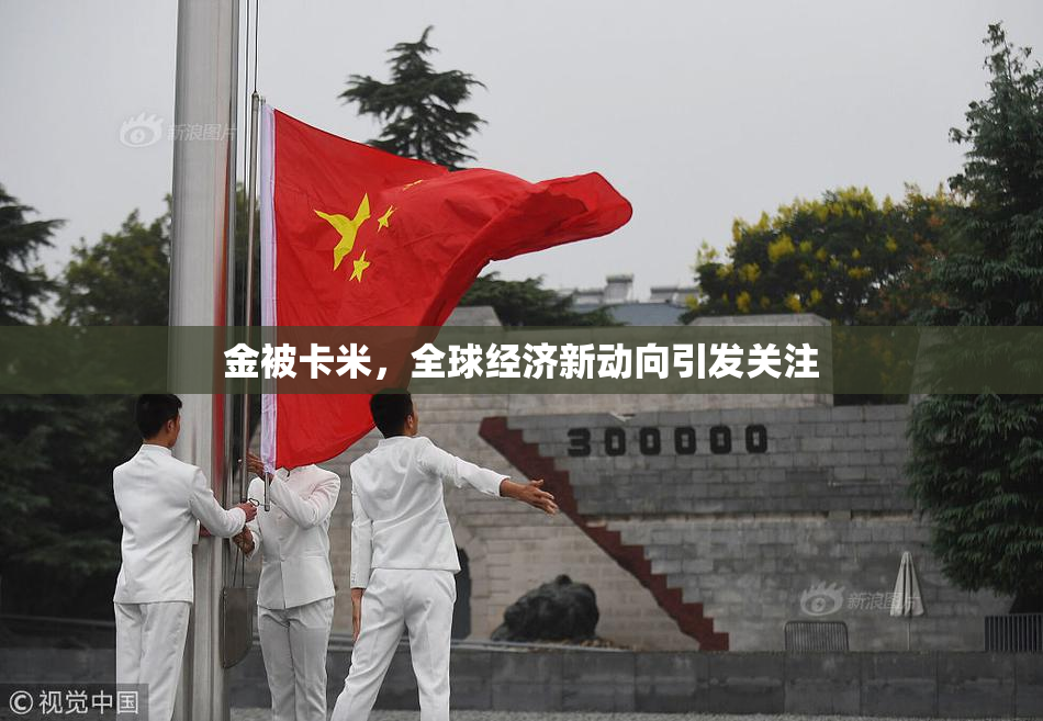 金被卡米，全球经济新动向引发关注