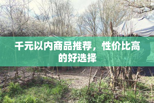 千元以内商品推荐，性价比高的好选择