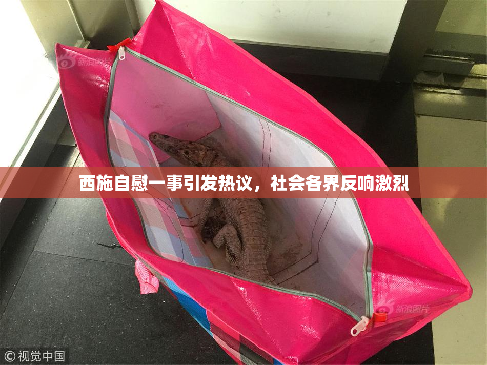 西施自慰一事引发热议，社会各界反响激烈