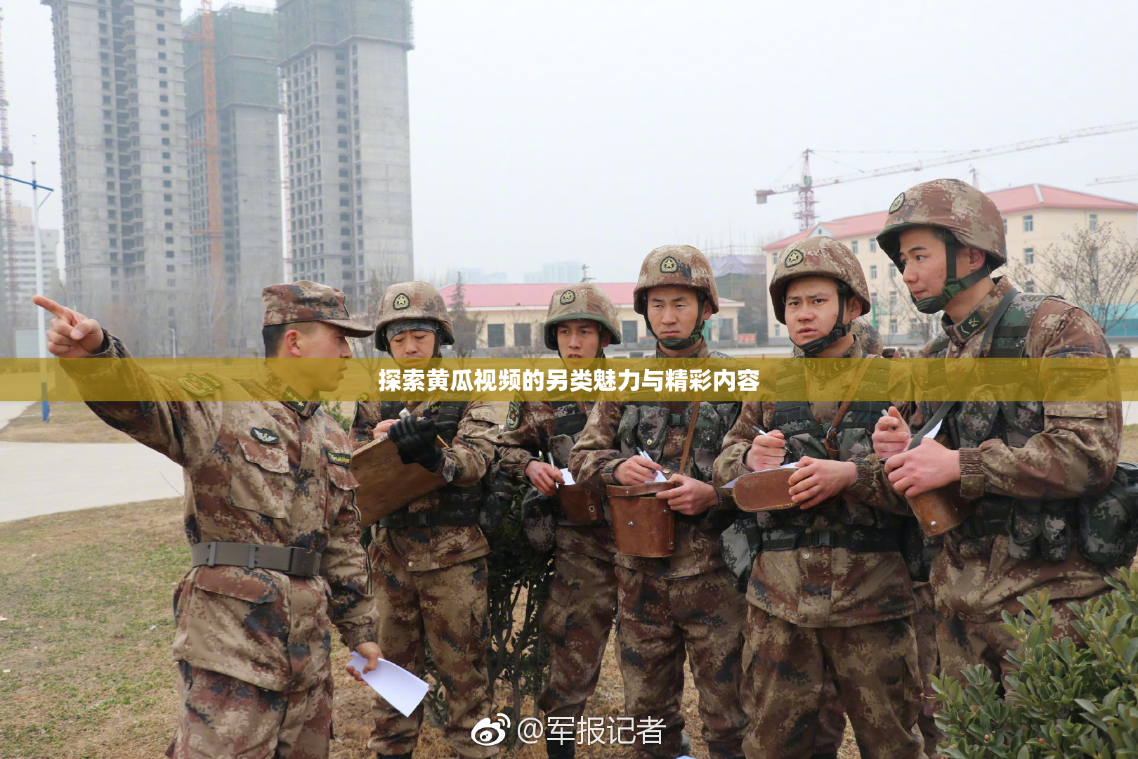 探索黄瓜视频的另类魅力与精彩内容