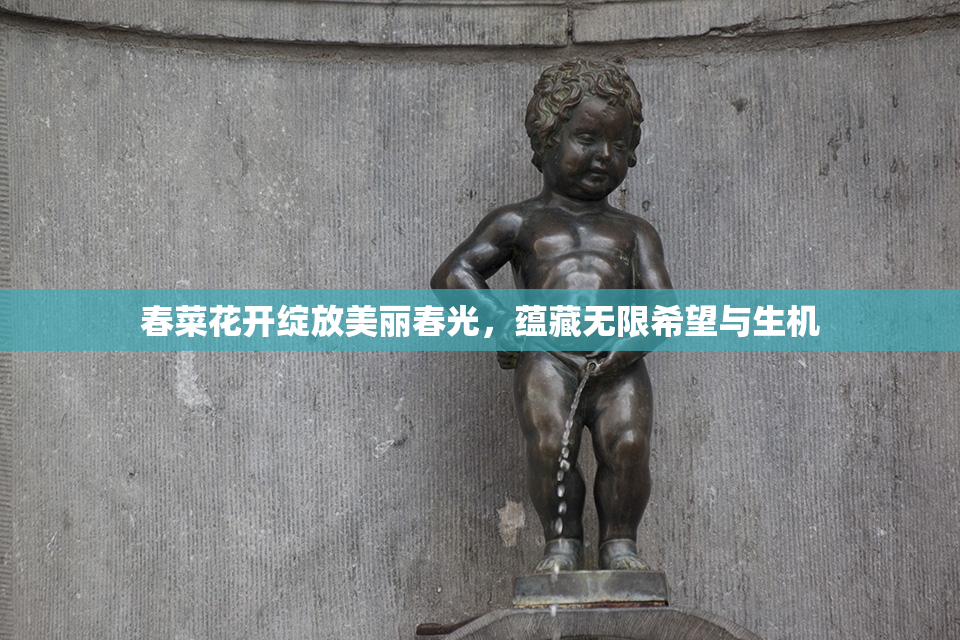 春菜花开绽放美丽春光，蕴藏无限希望与生机