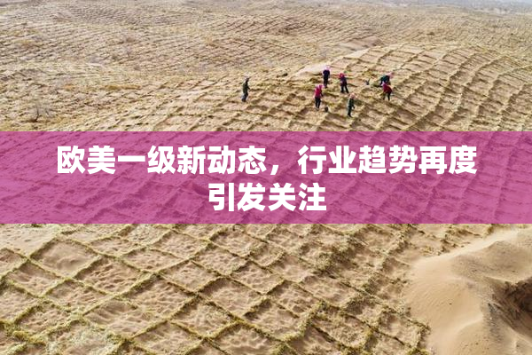 欧美一级新动态，行业趋势再度引发关注