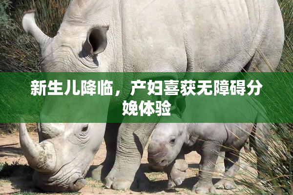 新生儿降临，产妇喜获无障碍分娩体验