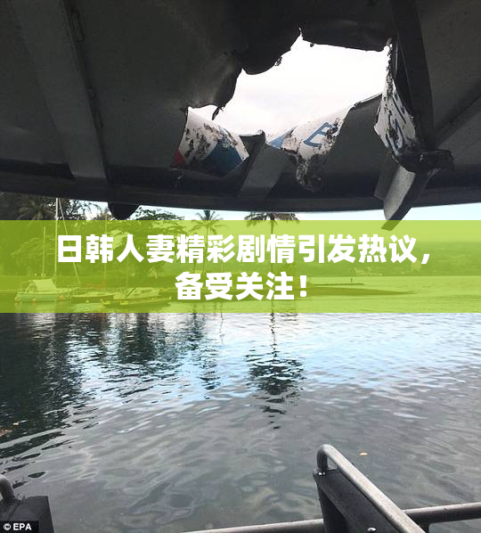 日韩人妻精彩剧情引发热议，备受关注！
