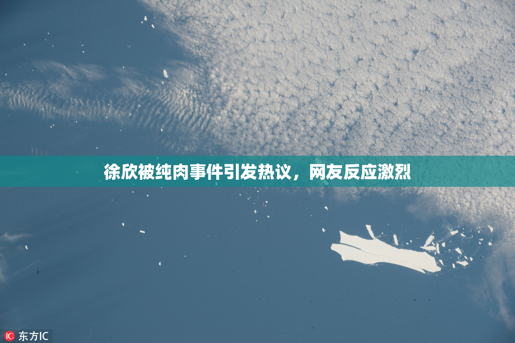 徐欣被纯肉事件引发热议，网友反应激烈