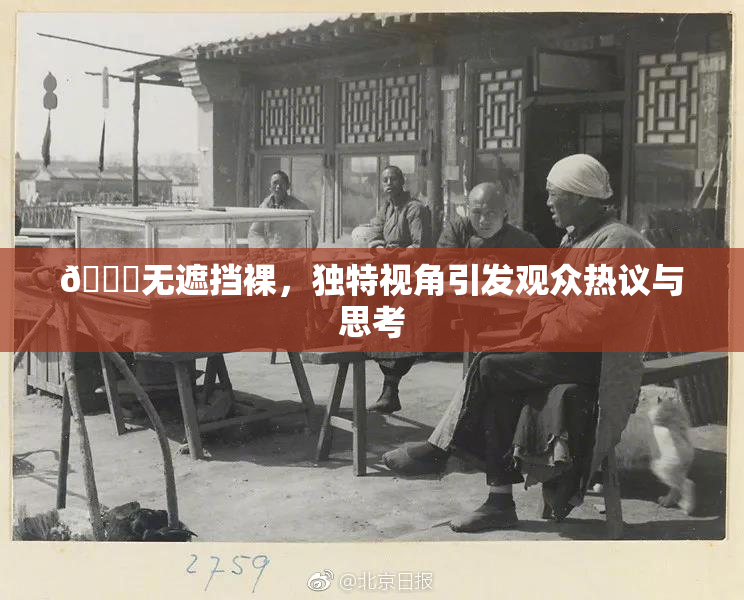 🔞无遮挡裸，独特视角引发观众热议与思考